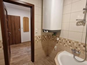 Pronájem bytu 1+kk, Libčice nad Vltavou, Letecká, 42 m2