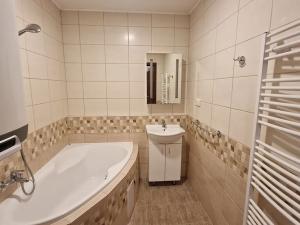 Pronájem bytu 1+kk, Libčice nad Vltavou, Letecká, 42 m2