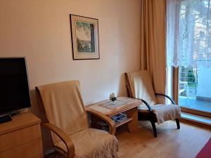 Pronájem bytu 1+kk, Luhačovice, 33 m2