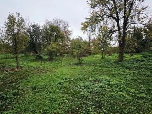 Prodej rodinného domu, Zlobice, 200 m2