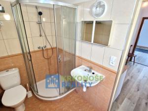 Pronájem bytu 2+1, Kunčice nad Labem, 47 m2