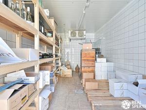 Prodej skladu, Cetkovice, Velká Strana, 420 m2