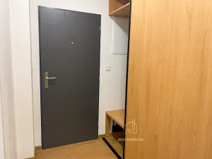 Pronájem bytu 1+kk, Kyjov, Havlíčkova, 30 m2