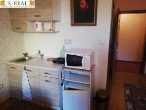 Pronájem bytu 1+kk, Brno, Pražská, 22 m2