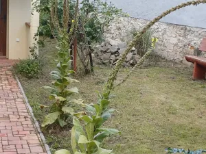 Prodej rodinného domu, Obořiště, 150 m2