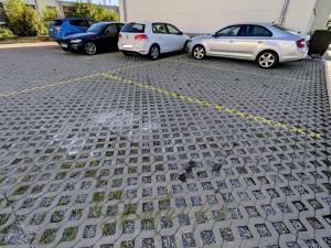 Pronájem bytu 2+1, Lužice, 53 m2