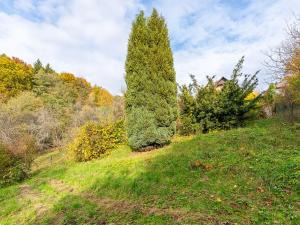 Prodej zahrady, Horní Lhota, 530 m2