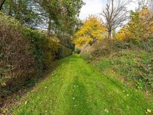 Prodej zahrady, Horní Lhota, 530 m2