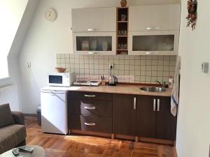 Pronájem bytu 1+kk, Liberec, Šlikova, 26 m2