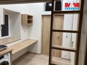 Prodej bytu 1+kk, Opava - Předměstí, Alšova, 20 m2