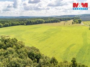 Prodej komerčního pozemku, Přimda - Mlýnec, 238031 m2