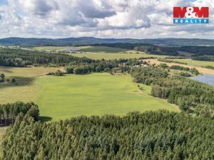 Prodej komerčního pozemku, Přimda - Mlýnec, 238031 m2