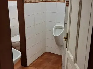 Pronájem obchodního prostoru, Praha - Nové Město, Bolzanova, 100 m2