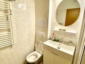 Pronájem bytu 1+kk, Slapy, 22 m2