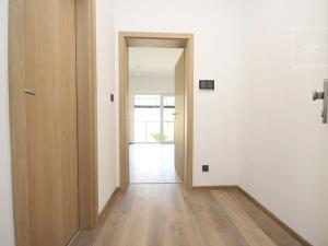 Pronájem bytu 1+kk, Plzeň, Pilařská, 38 m2