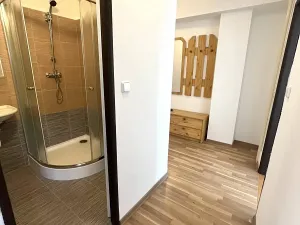 Pronájem bytu 2+1, Ostrava, Bohumínská, 55 m2