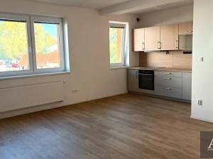 Pronájem bytu 1+kk, Uherský Brod, Horní Valy, 43 m2