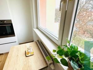 Pronájem bytu 1+1, Kroměříž, Denkova, 36 m2