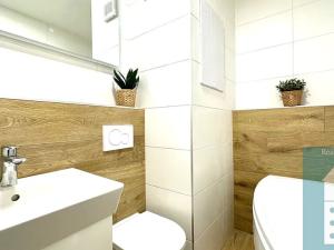 Pronájem bytu 1+1, Kroměříž, Denkova, 36 m2