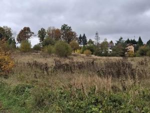 Prodej pozemku pro bydlení, Skalná, Písečná, 10095 m2