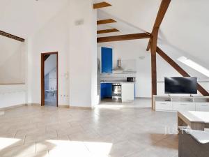 Prodej vícegeneračního domu, Ústí nad Labem, Králova výšina, 300 m2