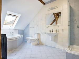 Prodej vícegeneračního domu, Ústí nad Labem, Králova výšina, 300 m2