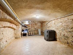 Prodej vícegeneračního domu, Ústí nad Labem, Králova výšina, 300 m2