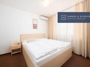 Pronájem bytu 1+1, Brno, Anenská, 26 m2