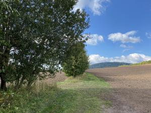 Prodej lesa, Lánov - Horní Lánov, 15996 m2