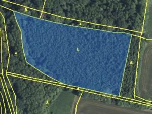 Prodej lesa, Lánov - Horní Lánov, 15996 m2