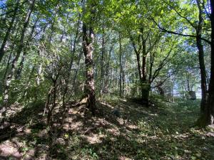 Prodej pozemku, Lánov - Horní Lánov, 1080 m2