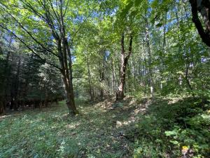 Prodej pozemku, Lánov - Horní Lánov, 1080 m2