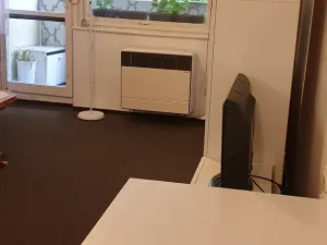 Pronájem bytu 1+kk, Teplice, Petra Jilemnického, 30 m2