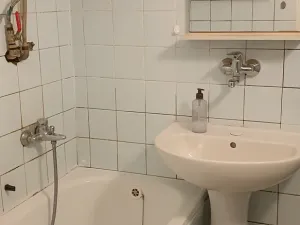 Pronájem bytu 1+kk, Teplice, Petra Jilemnického, 30 m2