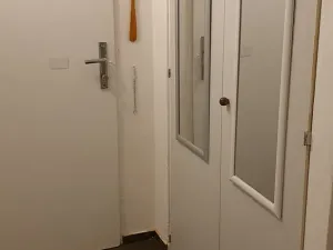 Pronájem bytu 1+kk, Teplice, Petra Jilemnického, 30 m2