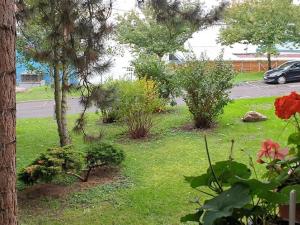 Pronájem bytu 1+kk, Teplice, Petra Jilemnického, 30 m2