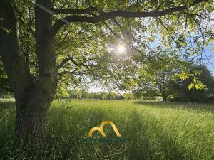 Prodej komerční nemovitosti, Doubravička, 195 m2