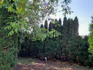 Prodej rodinného domu, Praha - Kyje, Branská, 402 m2