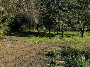 Dražba rodinného domu, Havířov, Stará, 180 m2