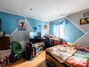 Prodej vícegeneračního domu, Nová Ves, 200 m2