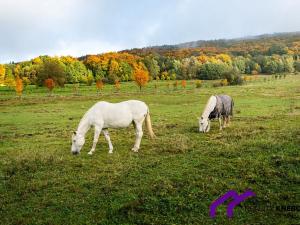 Prodej rodinného domu, Rynoltice, 140 m2
