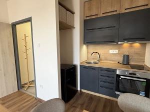 Pronájem bytu 1+kk, Rožnov pod Radhoštěm, Valašská, 28 m2