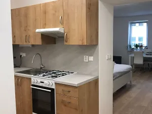 Pronájem bytu 1+kk, Prostějov, Vápenice, 49 m2