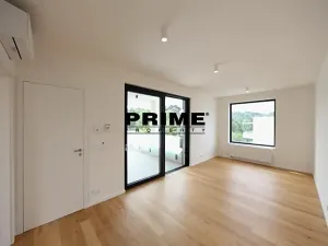 Pronájem rodinného domu, Praha - Řepy, U Lesoparku, 408 m2