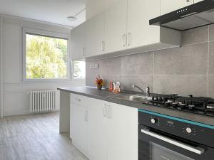 Pronájem bytu 4+1, Litvínov, Mládežnická, 84 m2