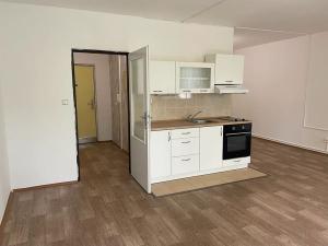 Pronájem bytu 1+kk, Litvínov, Podkrušnohorská, 39 m2