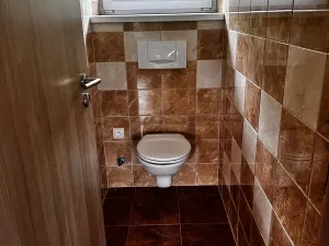 Pronájem bytu 1+kk, Psáry, 37 m2