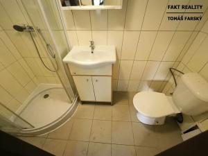 Pronájem bytu 1+kk, Děčín, Teplická, 19 m2