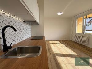 Prodej bytu 1+kk, Plzeň, alej Svobody, 36 m2