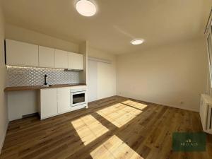 Prodej bytu 1+kk, Plzeň, alej Svobody, 36 m2